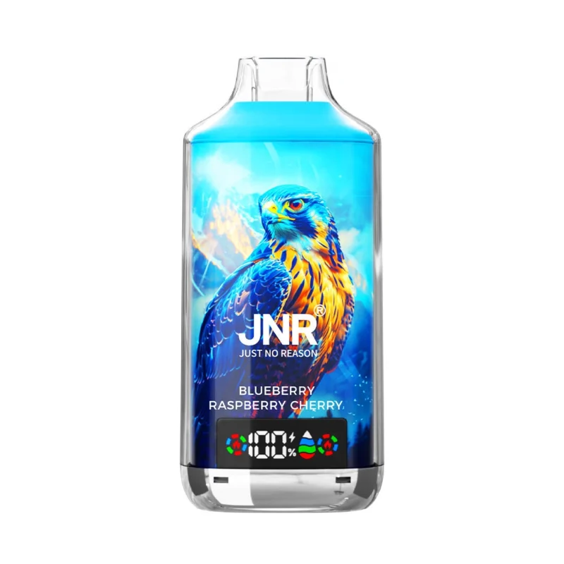 JNR Falcon X disposable vape in Blueberry Raspberry Cherry flavor, featuring a sleek blue hawk-inspired design, LED digital display, 950mAh rechargeable battery, and approximately 18,000 puffs.